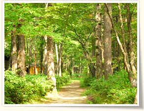 須磨の山から北アルプスへ01